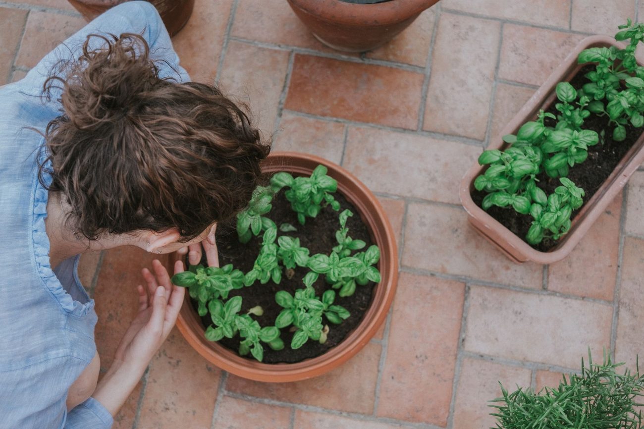 Basil, Thyme and Far Too Much Parsley on the Porch Bench