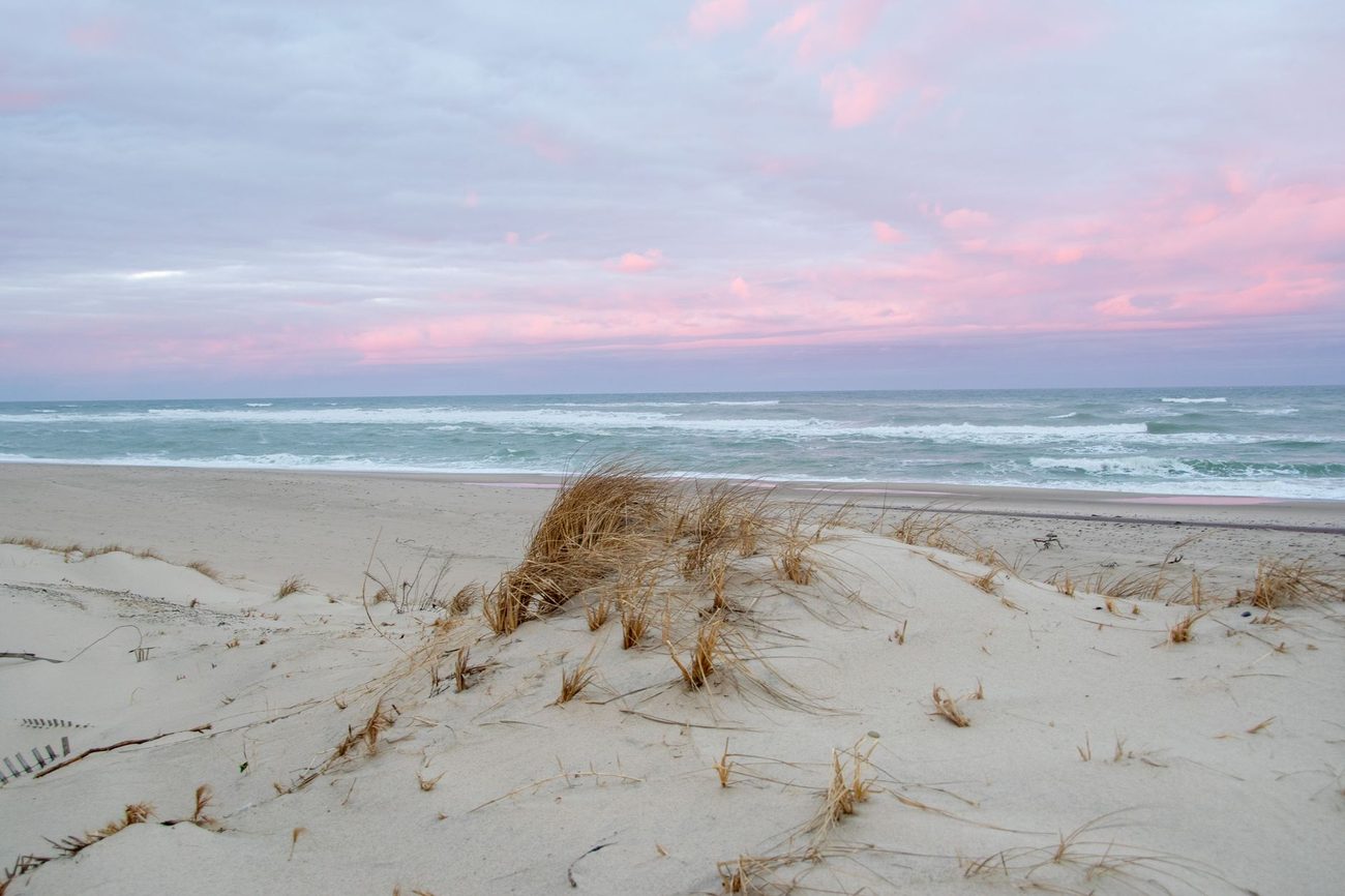 Cape Cod for a Week and the Neighbor Kid Who Kept Everything Alive