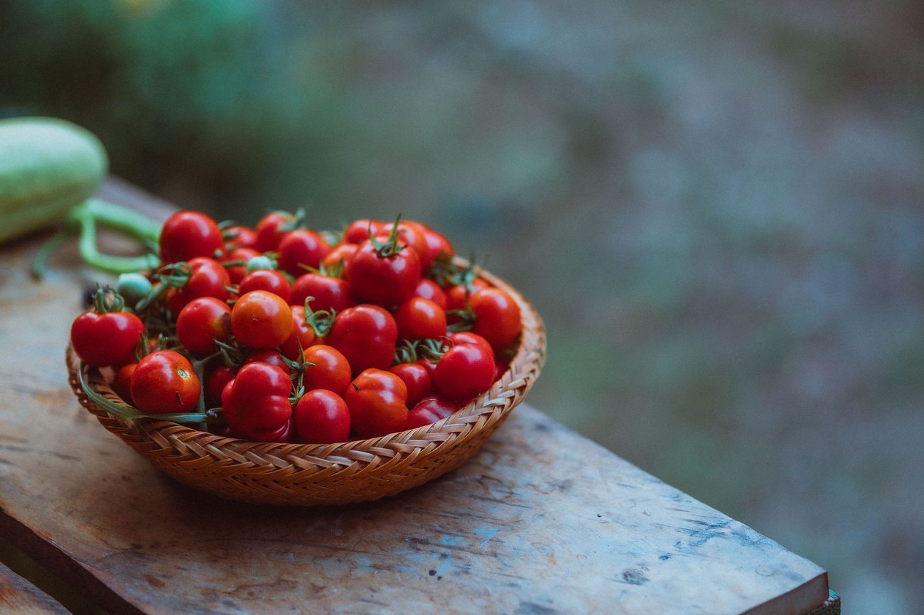 Cherry Tomatoes in Five-Gallon Buckets, Ranked After Two Summers