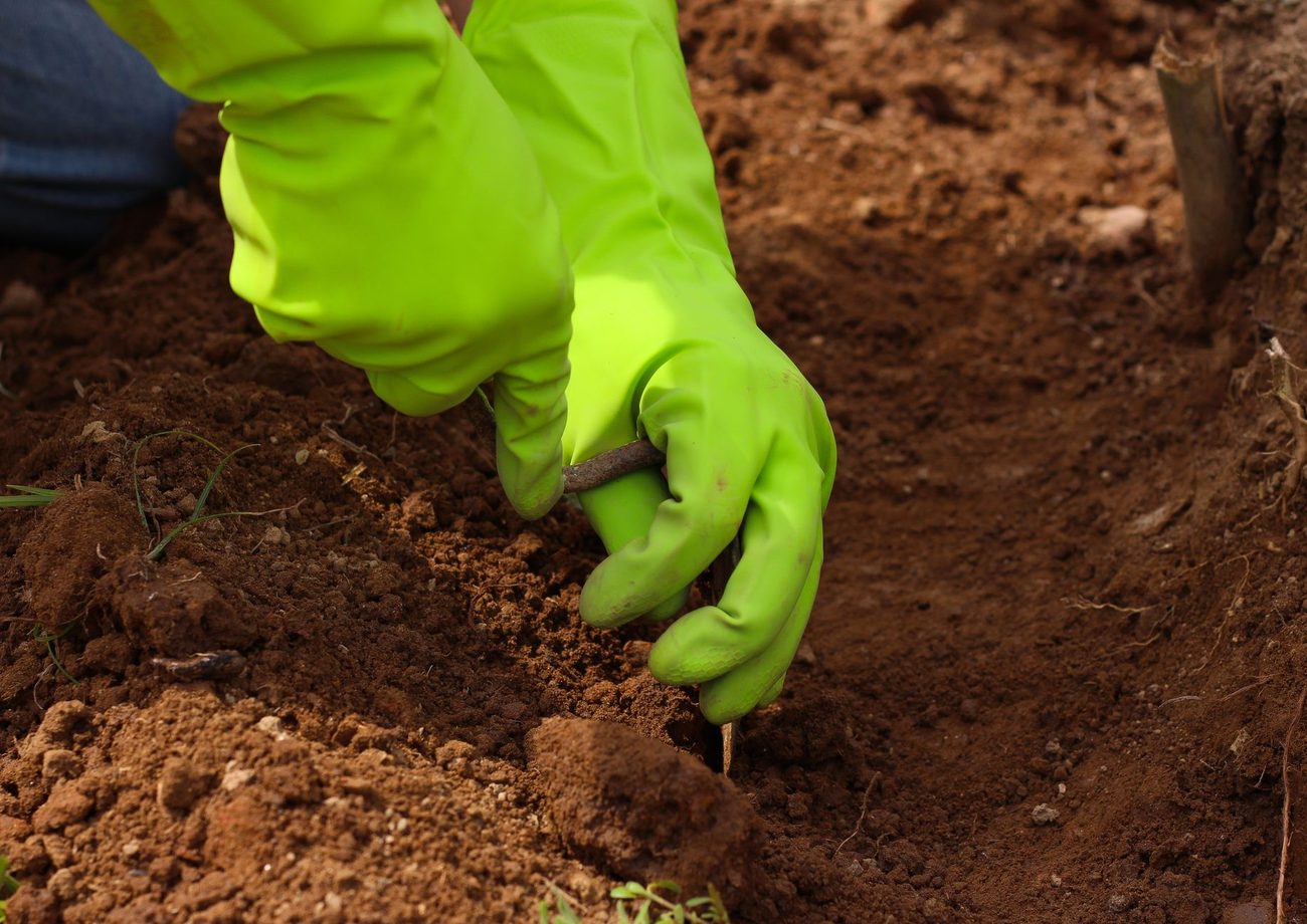 Groundhogs, Deer and Ticks: Two Seasons of Pest Control Costs