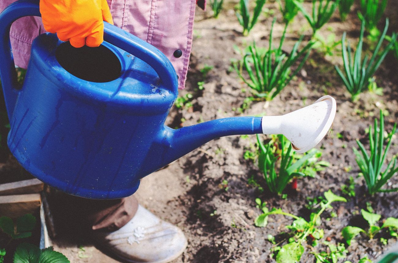 Hand-Watering 34 Pots and a $214 Summer Water Bill