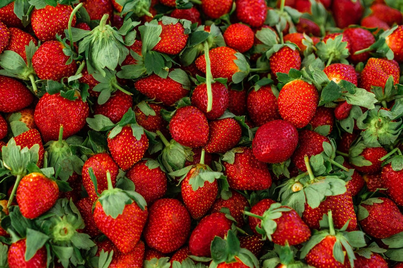 Strawberries in Grow Bags on the Porch Steps