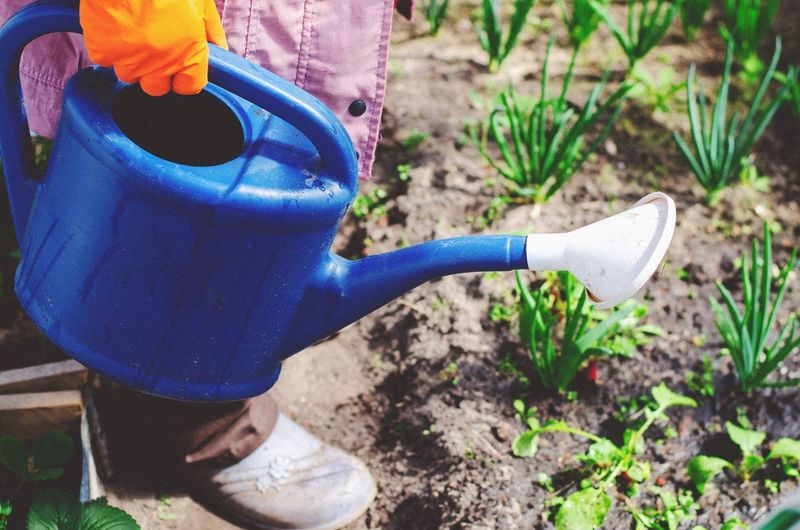 Hand-Watering 34 Pots and a $214 Summer Water Bill