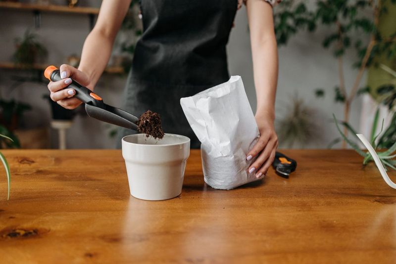 Pricing Out a Spring Refill of Soil, Compost and Mulch