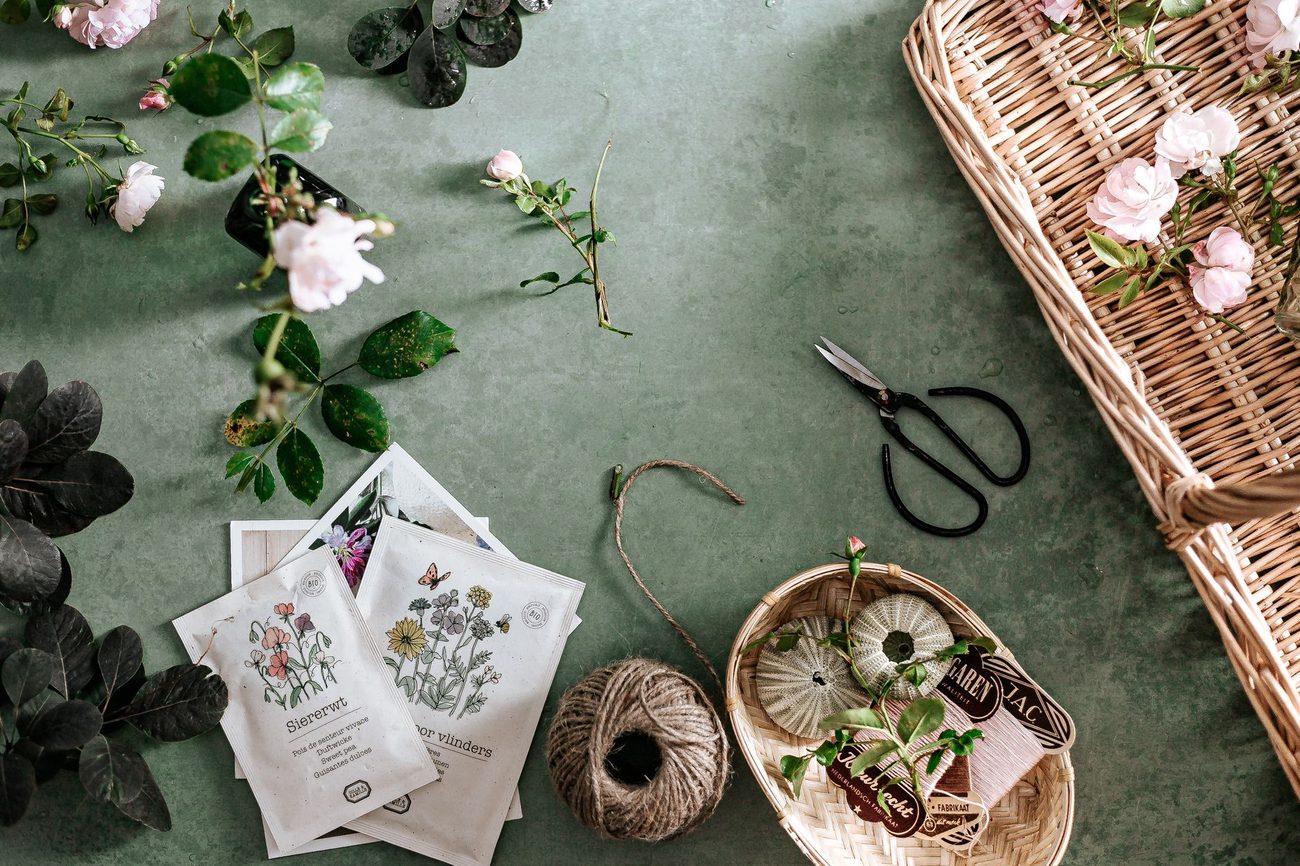 What Our 2024 Garden Cost, Receipt by Receipt