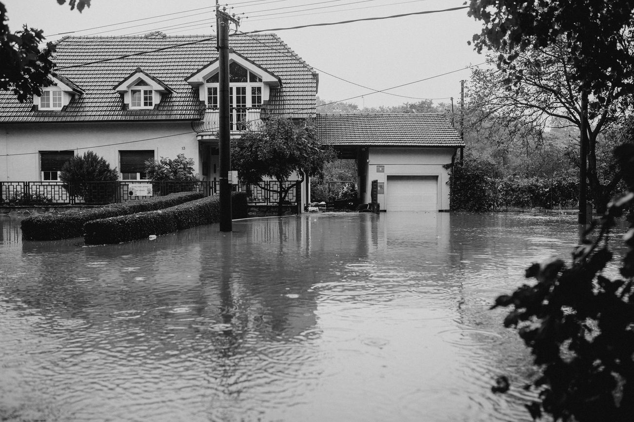 Why We Didn't File a Homeowners Claim for the Fallen Limb